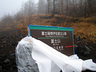 PhotoSample